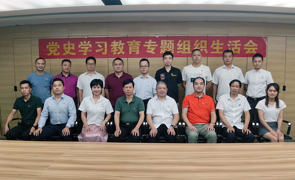 商会党支部召开党史学习教育专题组织生活会 商会党支部召开党史学习教育专题组织生活会