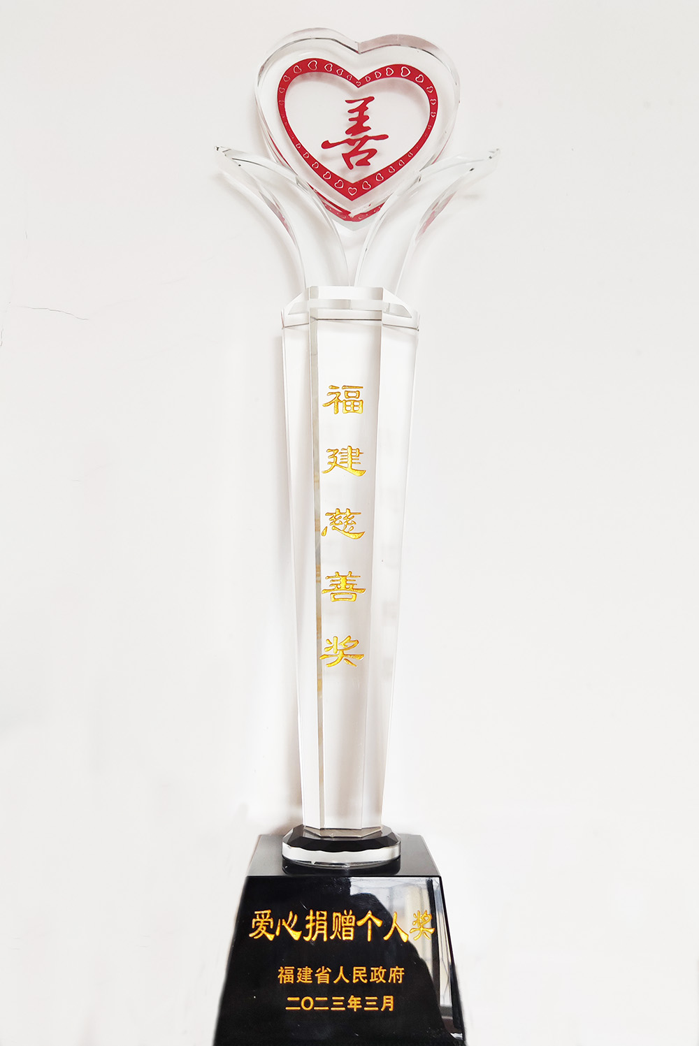 首届“福建慈善奖”表彰大会在福州召开,许明金会长荣获“爱心捐赠个人奖” 首届“福建慈善奖”表彰大会在福州召开,许明金会长荣获“爱心捐赠个人奖”